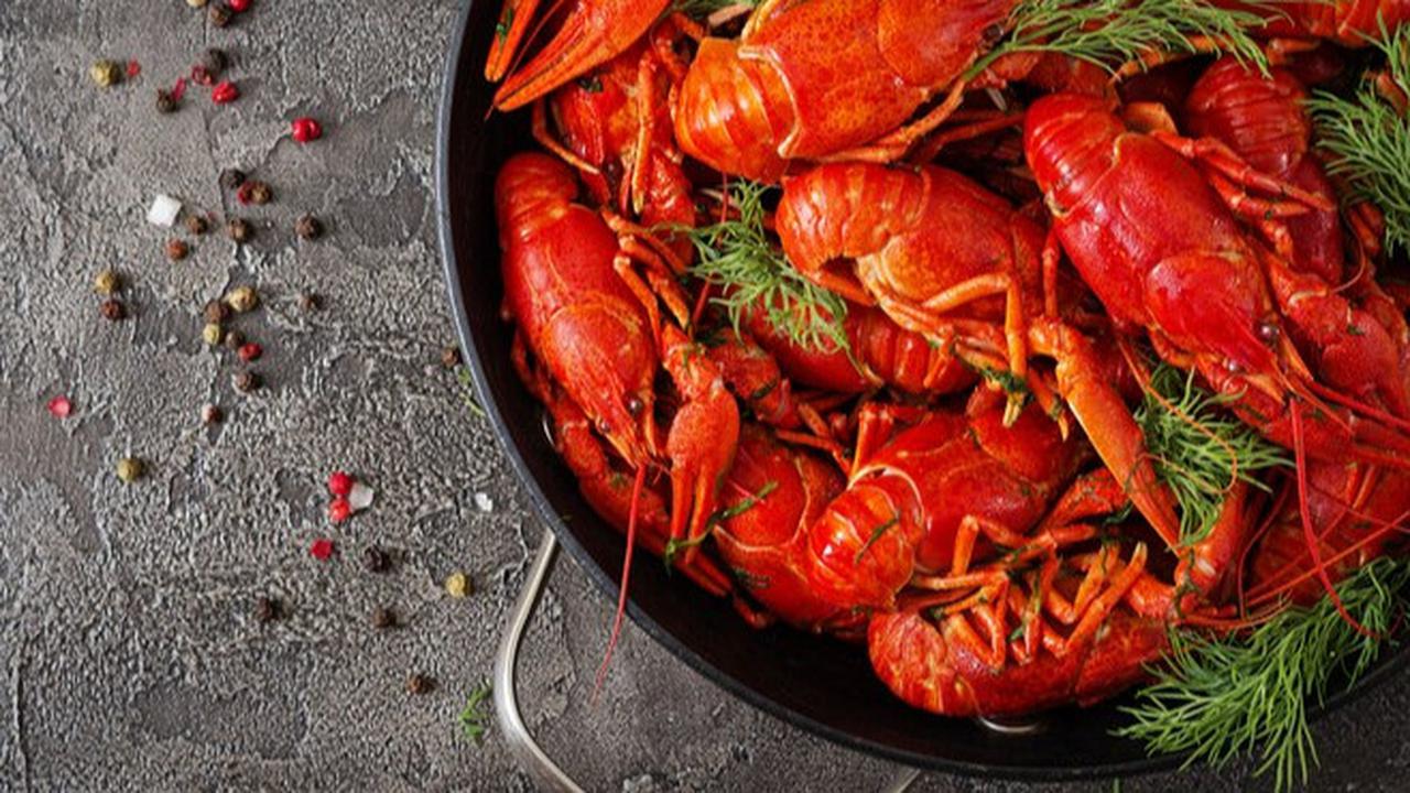 Daftar Harga Ikan Laut Per Kg Selama Ramadan, Mulai dari Tuna, Kembung hingga Lobster