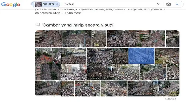 Gambar Tangkapan Layar Penelusuran Foto Menggunakan Google Images.