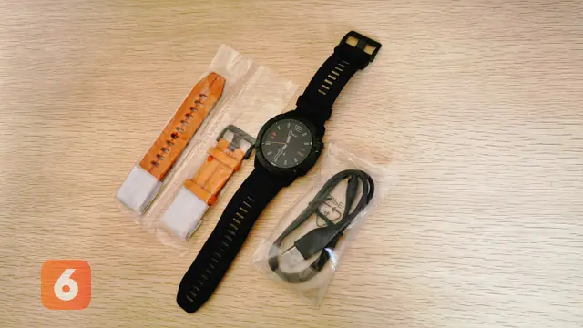 Garmin fenix 6x Sapphire