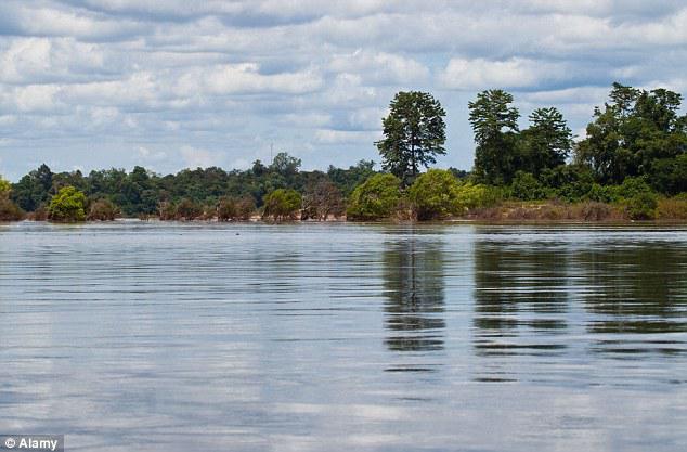 Sungai mekong dimana sungai ini dekat dengan tempat tinggal bayi | Photo: Copyright dailymail.co.uk