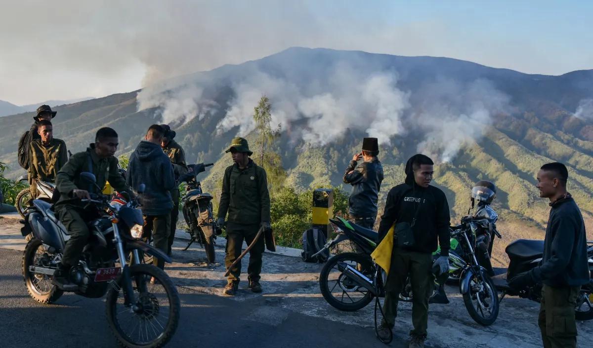 Kepala Seksi TNBTS Wilayah 1 Didit Sulastyo enggan menanggapi rencana laporan balik dari para pelaku.