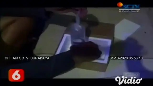 VIDEO: Berawal Hobi, Kini Ternak Ikan Cupang Merambah Pasar Mancanegara