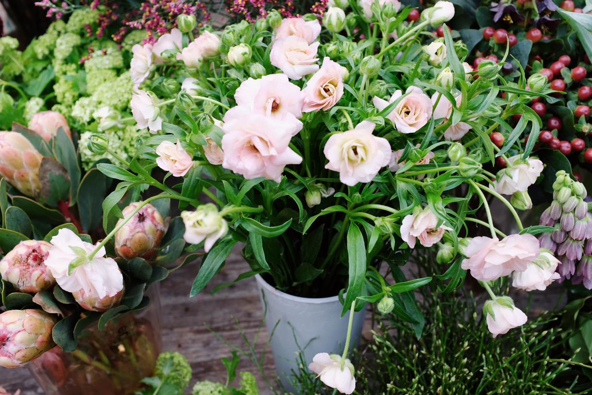 Ilustrasi Bunga Lisianthus