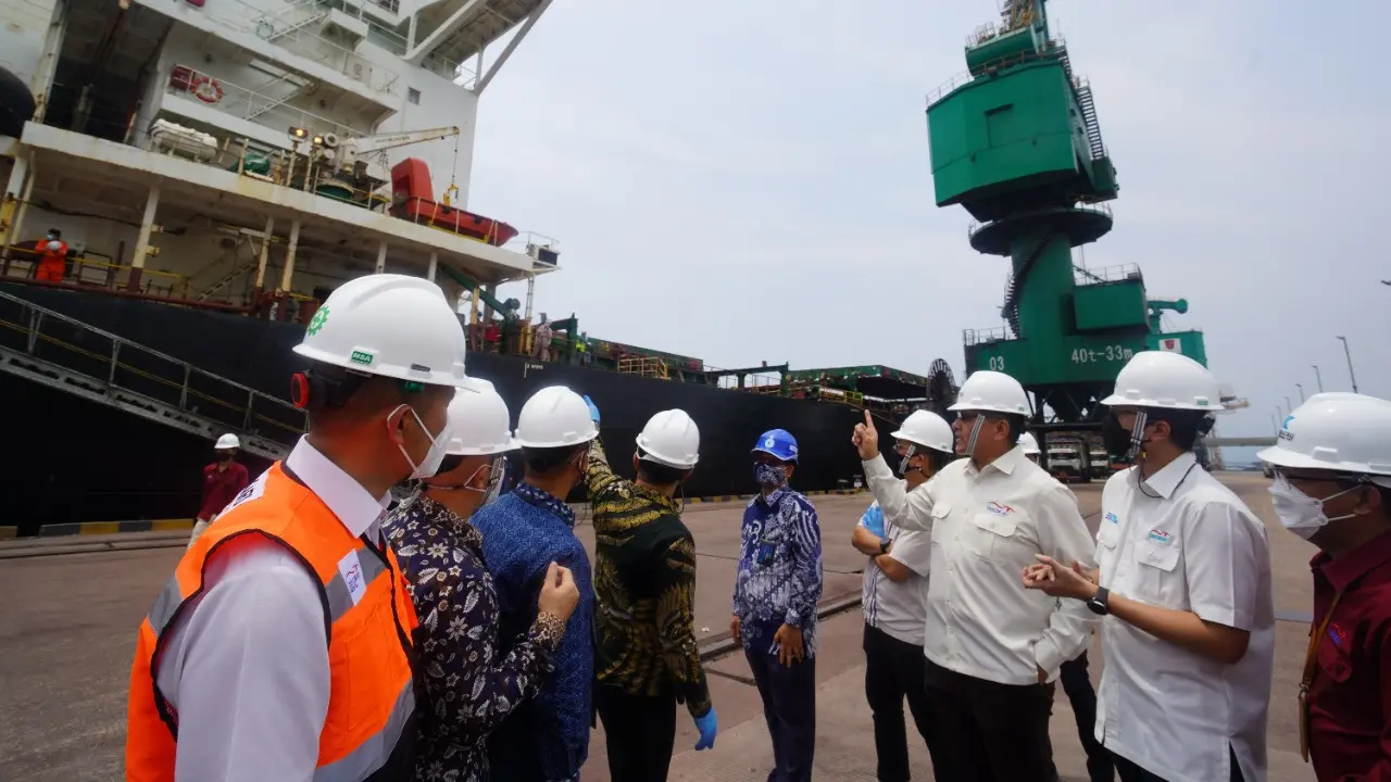 Berdikari datangkan gandum sebagai bahan baku alternatif untuk mendukung kestabilan harga pakan ternak