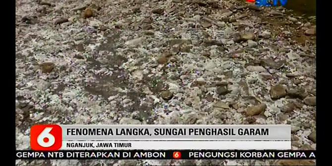 VIDEO: Fenomena Alam, Sungai di Tengah Hutan Nganjuk Hasilkan Garam