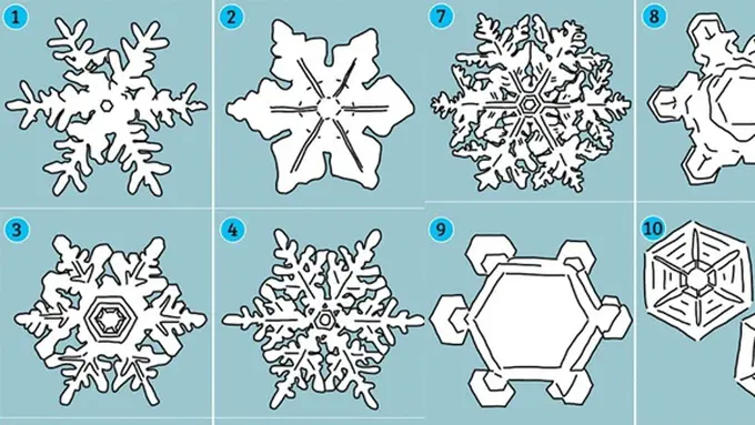 copyright by littlethings.com