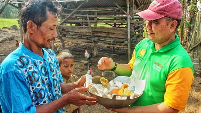 Semangat Beternak di Lampung Selatan Meningkat Gara-Gara Program Bekerja Kementan