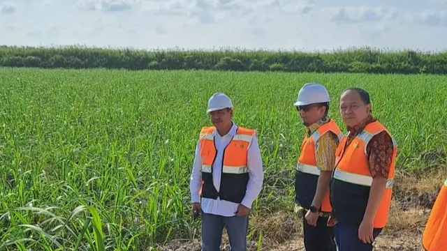 Direktur Jenderal Industri Agro Kemenperin, Putu Juli Ardika