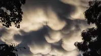 Pengguna media sosial mengunggah foto awan berbentuk aneh, gambar ini diambil di Mount Evelyn.  Supplied: Gcarrick