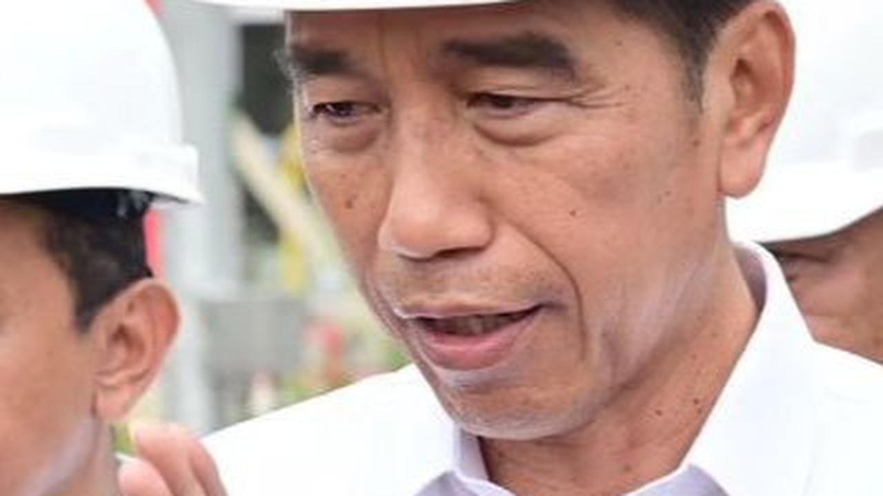 Jokowi Senang Banyak Investor Swasta Masuk IKN
