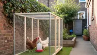 5 Desain Kandang Ayam Portable Ringan yang Bisa Dipindah-pindah di Halaman Rumah, Praktis