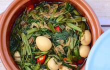 Apakah Kangkung Menyebabkan Asam Urat? Berikut Fakta dan Panduan Konsumsi yang Aman