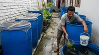 5 Jenis Ikan yang Cocok Dipelihara di Drum Selain Nila, Cocok untuk Budidaya Lahan Sempit
