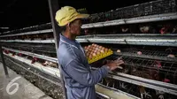 Pekerja memilah telur ayam di kandang ternak ayam telur di Cibeber, Cianjur, Jawa Barat, Rabu (30/11). Peternakan ayam tersebut memproduksi telur ayam mencapai satu ton telur per hari dari 20 ribu ekor ayam. (Liputan6.com/Faizal Fanani)