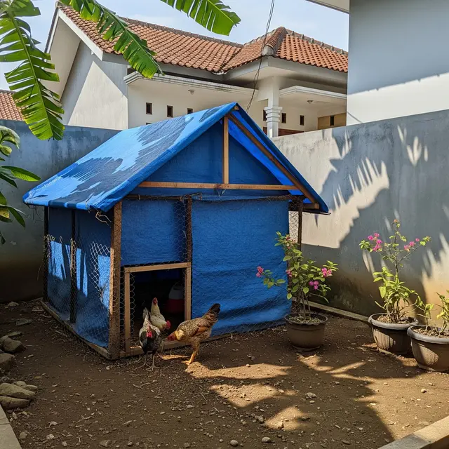 9 Kandang Ayam Praktis dan Minimalis di Lahan Sempit, Solusi Beternak Efisien