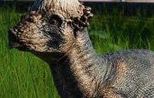 2 Jenis Dinosaurus Baru Ditemukan, Bentuknya Aneh