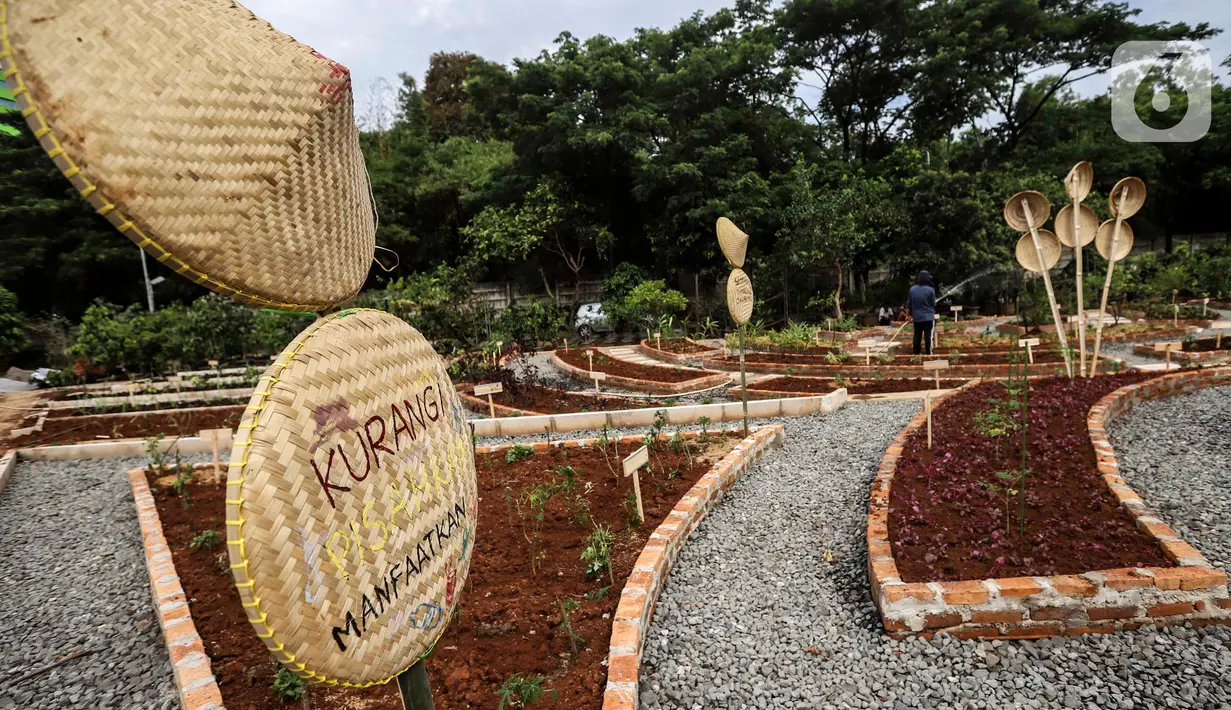 Pekerja menyiram tanaman di kawasan Agro Edukasi Wisata Ragunan, Jakarta Selatan,  Selasa (15/12/2020). Agro Edukasi Wisata Ragunan rencananya akan dibuka untuk umum hari ini, Selasa 15 Desember 2020. (Liputan6.com/Johan Tallo)