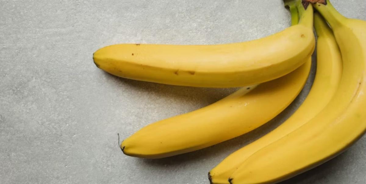 Ilustrasi Pisang