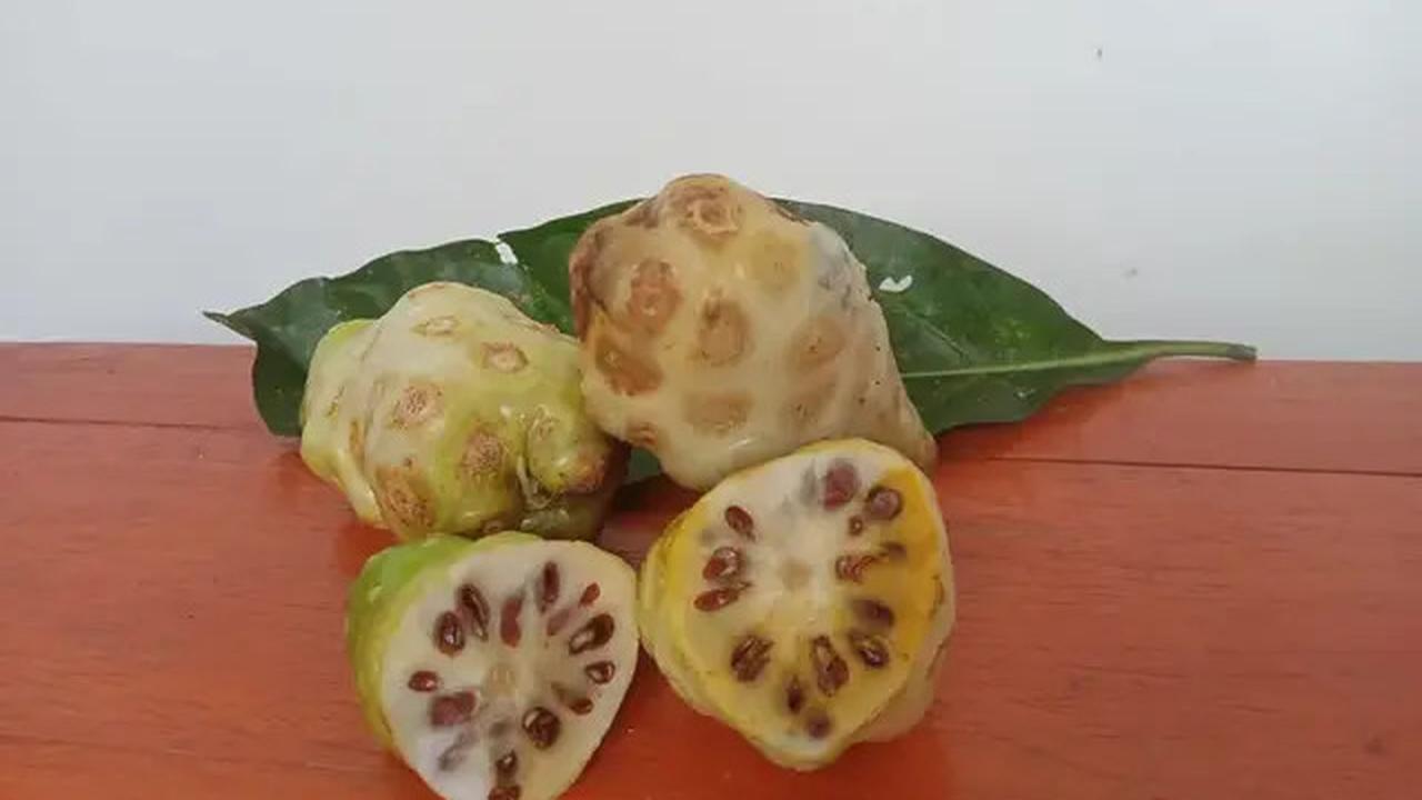 Resep Jamu Tradisional untuk Hidup Lebih Fit, Rahasia Sehat Orang Indonesia
