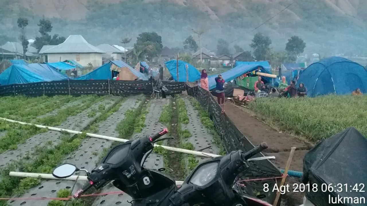 Posko pengungsian di tengah sawah di Desa Sembalun, Lombok (Lukman)