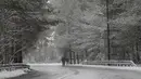 Pria berjalan di sisi jalan selama hujan salju dekat desa Amiantos di gunung Troodos, tenggara pulau Mediterania Siprus, Rabu (19/1/2022). Siprus berada dalam cengkeraman badai pertengahan musim dingin yang membawa hujan lebat, suhu rendah dan salju di pegunungan Troodos. (AP Photo/Petros Karadjias)