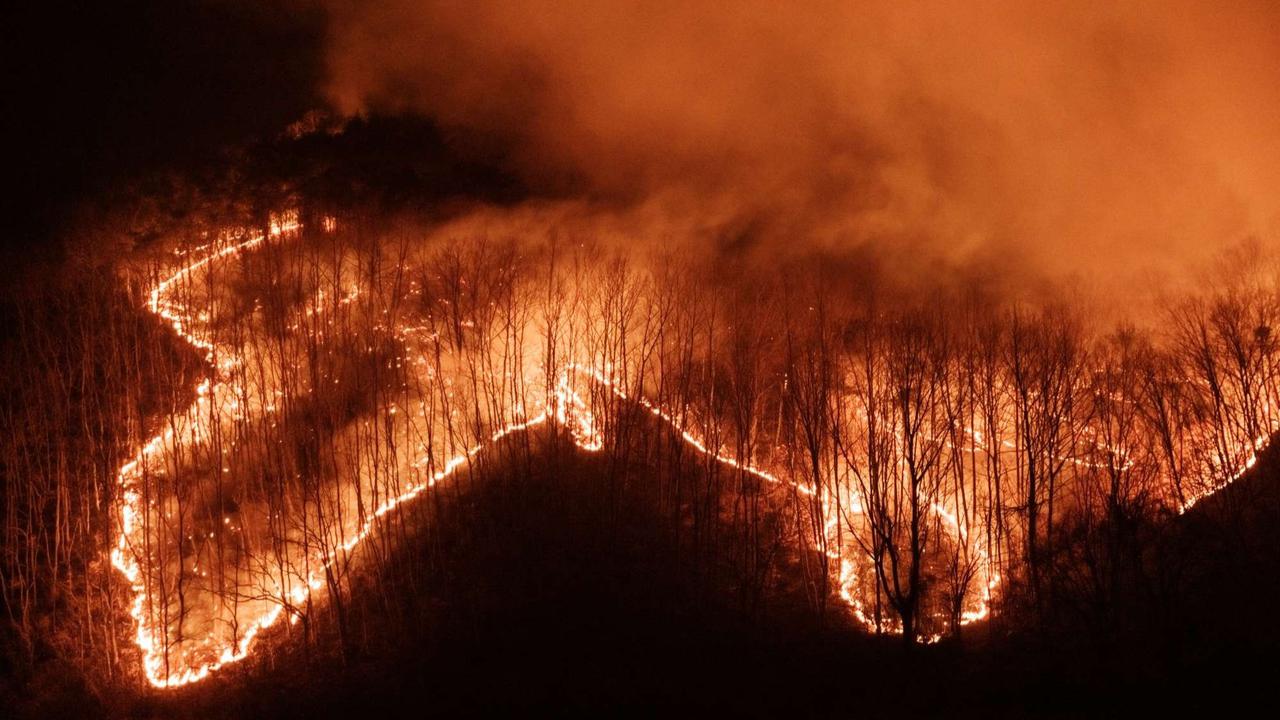 Kebakaran hutan Korea Selatan semakin ganas