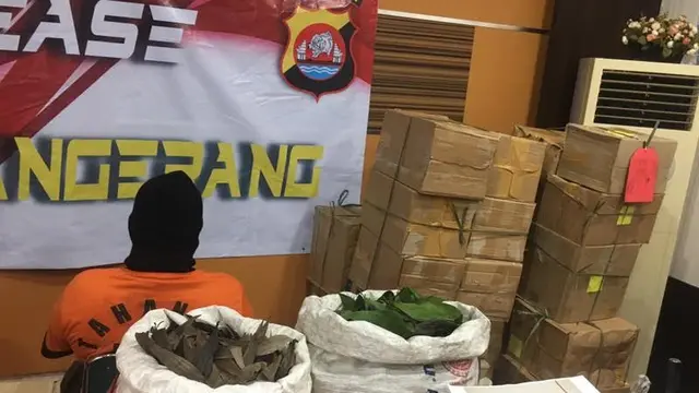 Penipuan
