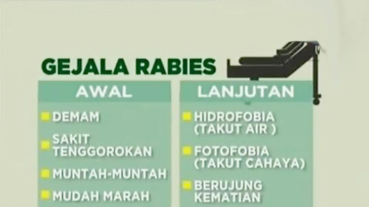 Ini Bahaya Virus Anjing Gila yang Tewaskan Siswi di Mamasa