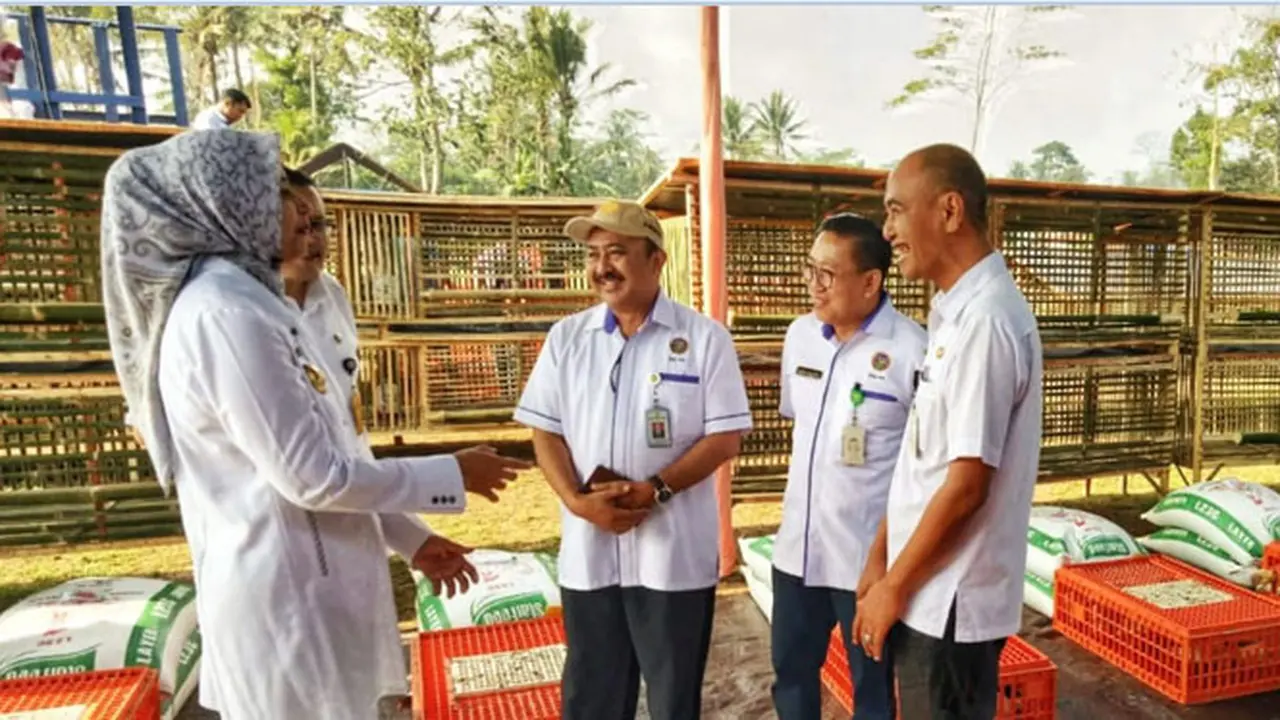 Lewat Beternak Ayam, Kementan Ingin Entaskan Kemiskinan Jember