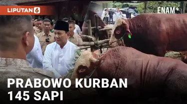 Prabowo Kurban 145 Sapi dan Disebarkan ke Beberapa Wilayah