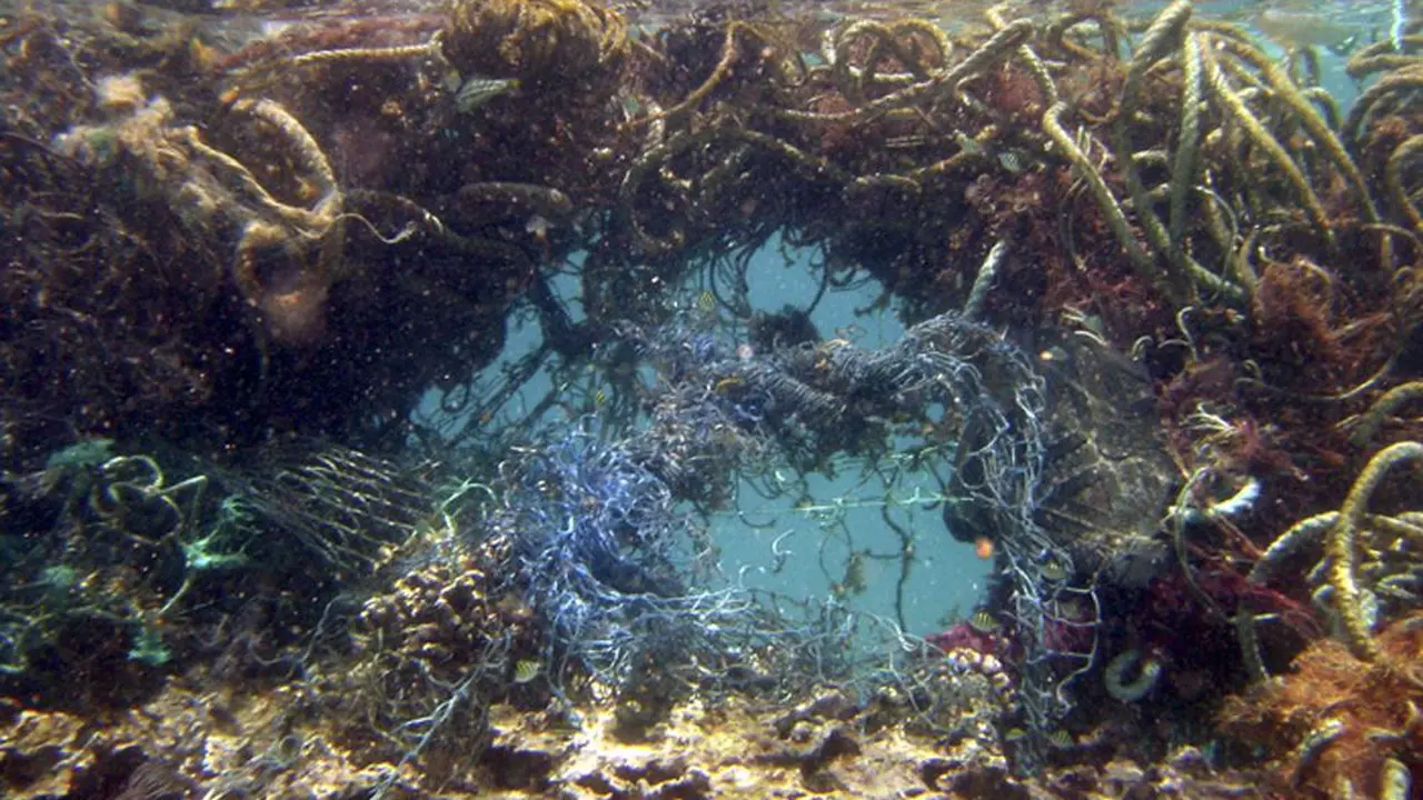 Great Pacific Garbage Patch