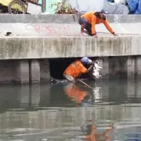  Pasukan Oranye Tuai Pujian Selamatkan Kucing di Sungai | foto : facebook