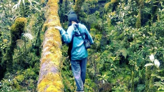 Gunung Torenali di Sulawesi