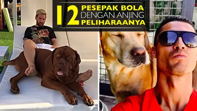 Video bintang sepak bola dengan anjing kesayangannya, salah satunya Lionel Messi yang memelihara anjing Dogue de Bordeaux.