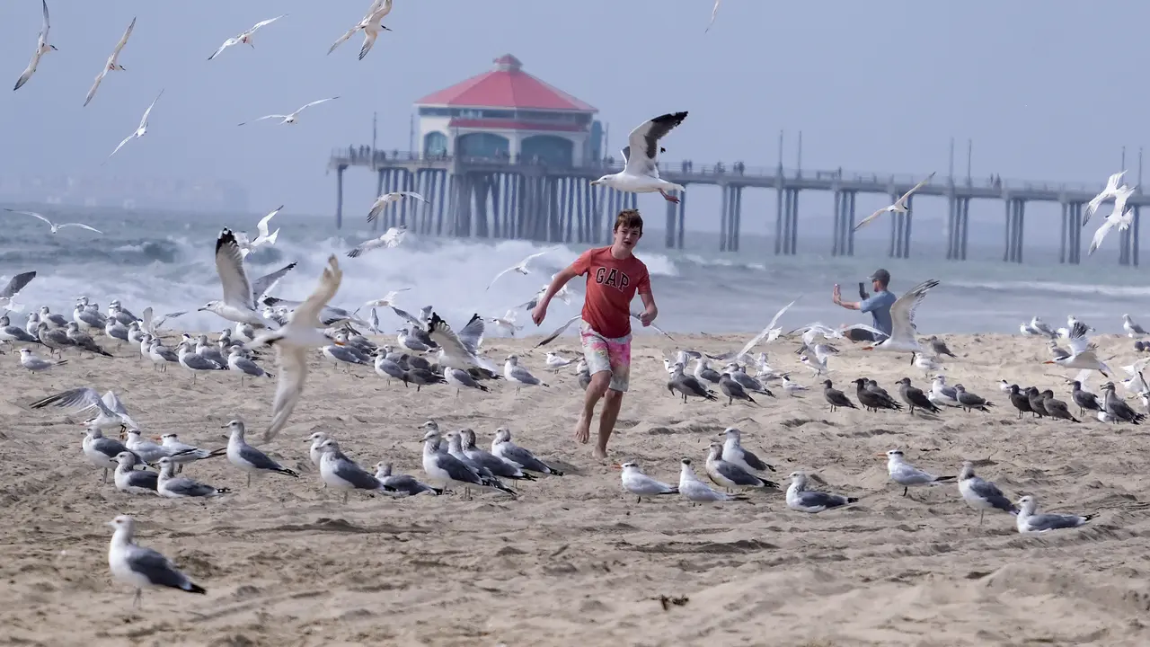Pantai di California Dibuka Kembali Setelah Tercemar Minyak