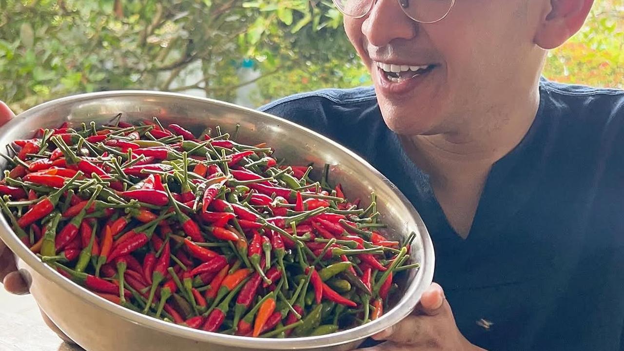 Panen Cabai yang Segar, Ruben Onsu Kini Jajal Berkebun