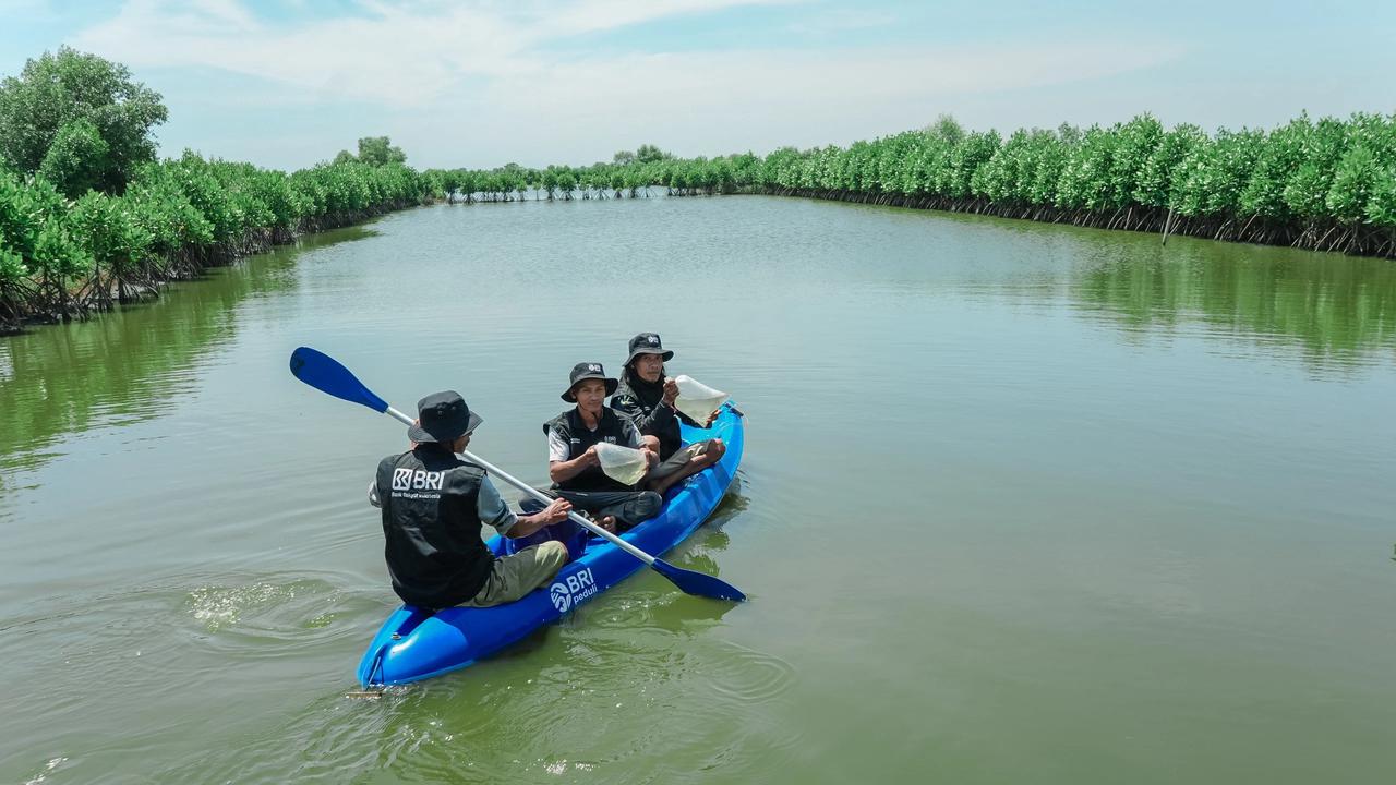 BRI Perkuat Komitmen Jaga Ekosistem Pesisir Lewat Penanaman Mangrove di Muara Gembong Bekasi