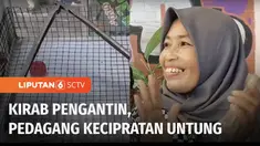 Di tengah kirab pengantin Kaesang Pangarep-Erina Gudono, Presiden Jokowi membagikan suvenir kepada warga yang menyaksikan. Warga yang mendapat suvenir mengaku senang dan merasa ‘beruntung’.