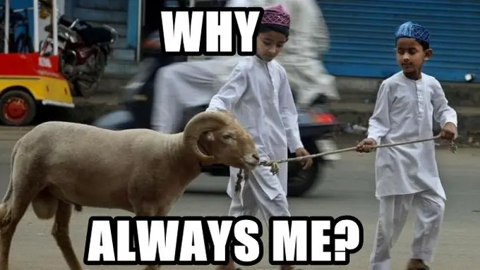 [Bintang] 16 Meme Kurbanin Aja yang Ramaikan Idul Adha, Selamat Ngakak!