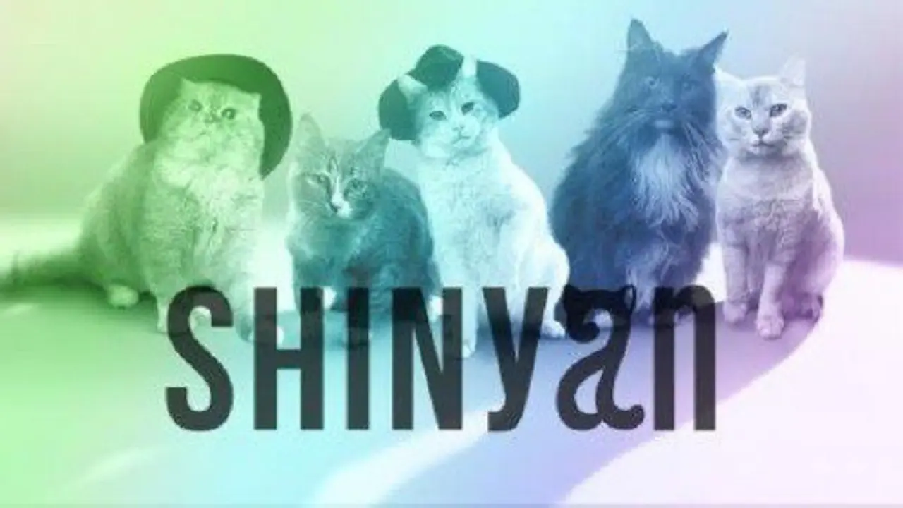 [Bintang]  SHINyan