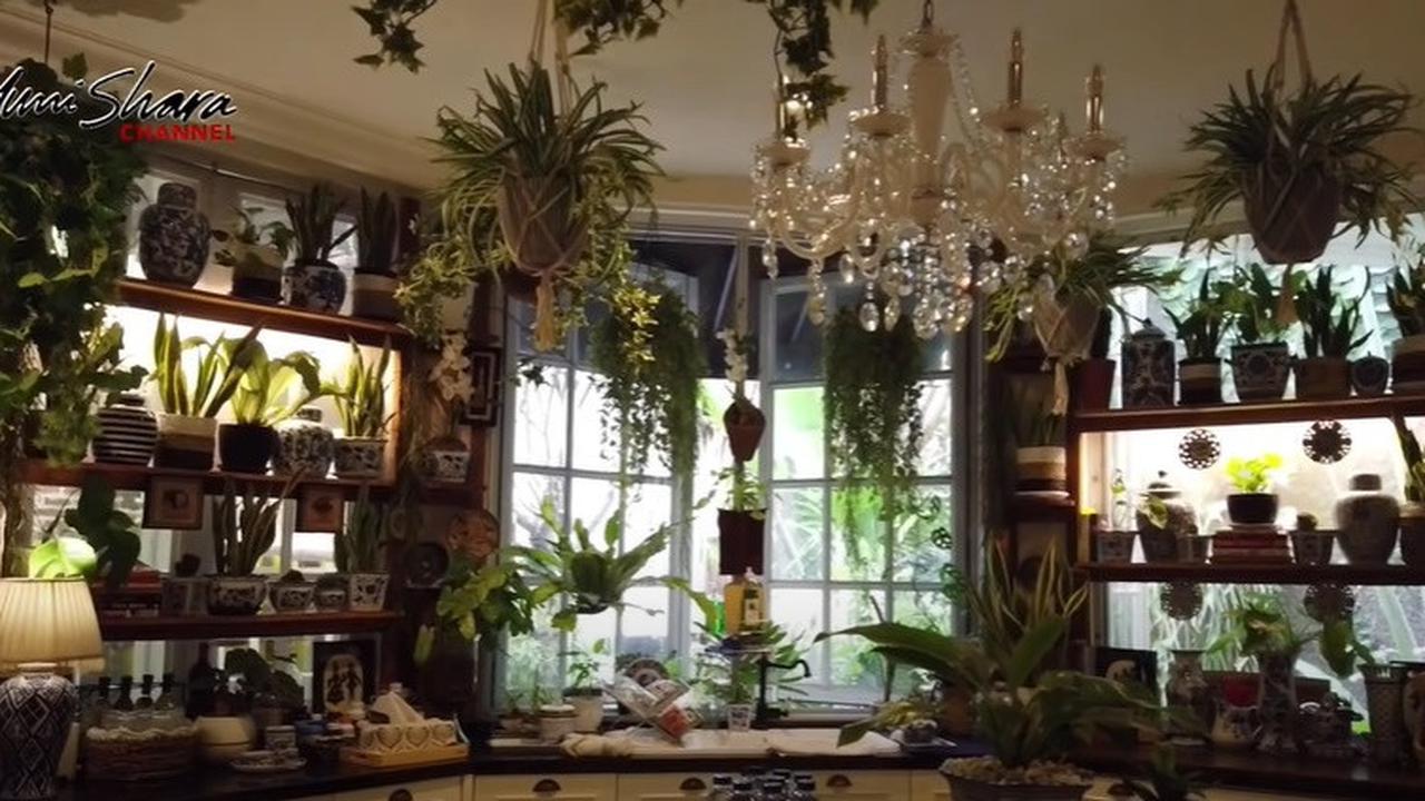 Bertema Jungle House, 8 Potret Dapur Yuni Shara yang Vintage dengan Banyak Tanaman dan Keramik