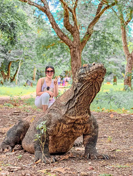 Liburan ke Labuan Bajo, tentu akan kurang lengkap bila belum berfoto bersama komodo. Tampil dengan busana simpel, wanita yang memiliki nama lahir Maulidia Octavia tampil memesona dan menuai banyak pujian dari para penggemarnya. (Liputan6.com/IG/@viavallen)