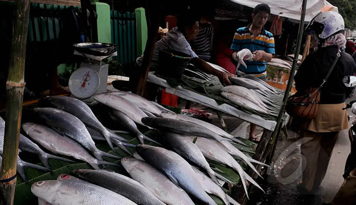 Salah satu pembeli ikan bandeng yang dijajakan oleh pedagang di pasar Rawa Belong, Jakarta, Rabu (18/2). Bagi kalangan Tionghoa, pindang bandeng Imlek adalah perlambang kemakmuran yang berlimpah. (Liputan6.com/Johan Tallo)