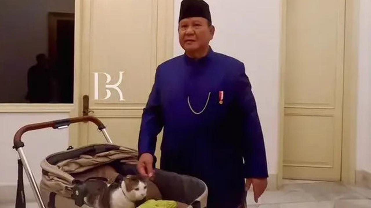 Berapa Harga Stroller Milik Bobby Kertanegara, Kucing Peliharaan Prabowo?