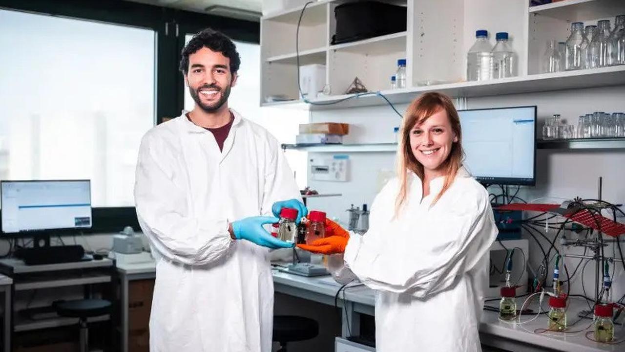 Bakteri E. Coli Menghasilkan Listrik