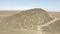 Sketsa kucing raksasa berusia ribuan tahun di sebuah lereng di Nazca, Peru. (PERUVIAN MINISTRY OF CULTURE / AFP)