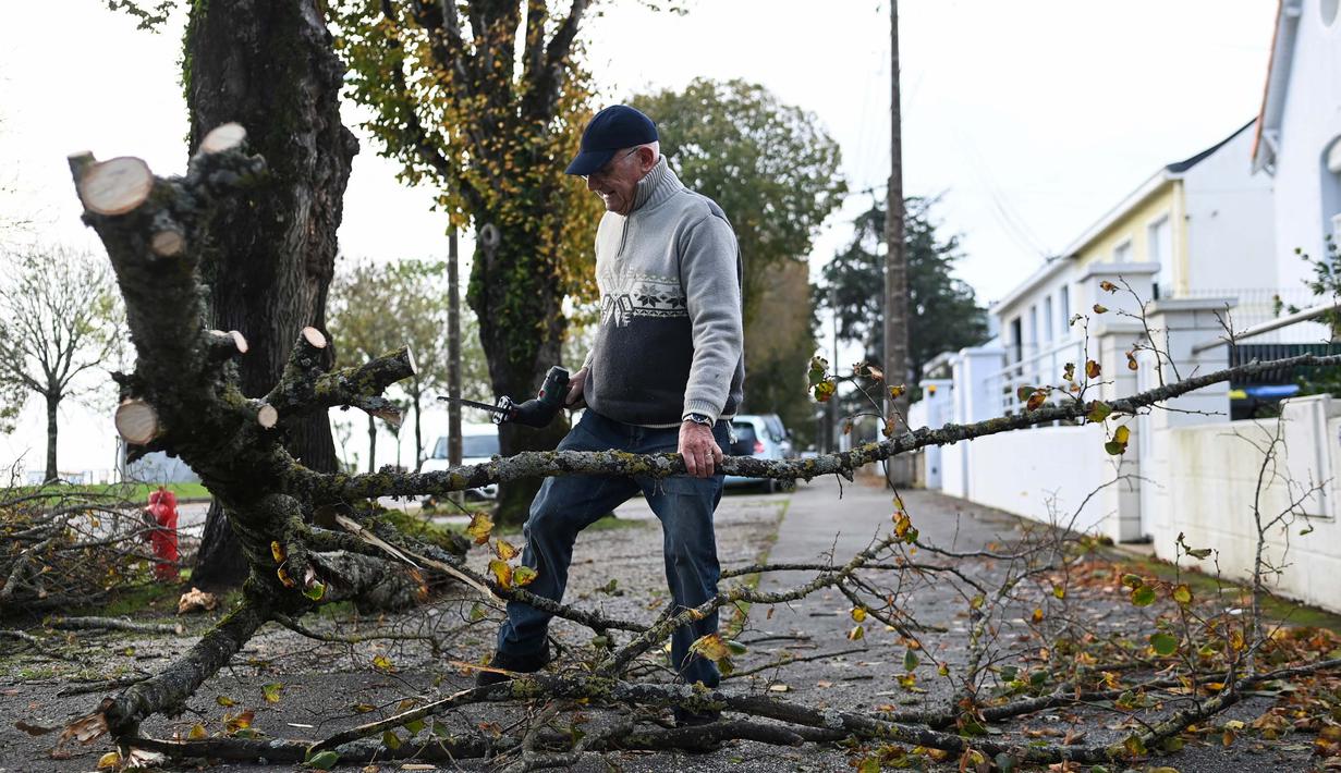 Warga memotong pohon yang tumbang di depan rumahnya di Saint-Nazaire, Prancis Barat, pada tanggal 2 November 2023, usai badai Ciaran menghantam wilayah tersebut. (Sebastien SALOM-GOMIS/AFP)