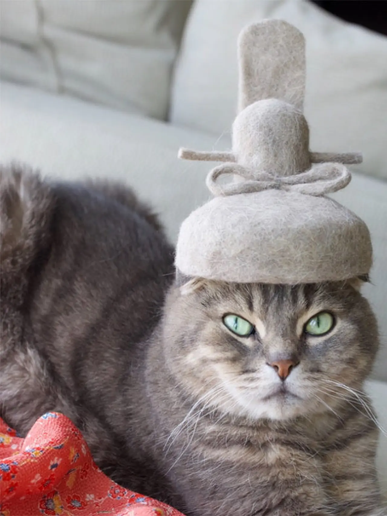 7 Potret Kucing Pakai Topi Lucu Ini Menggemaskan, Dibuat dari Bulu Rontok