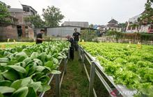 Terobosan Sulawesi Tengah: Permudah Izin Usaha Petani Milenial, Dorong Ekspor Produk Lokal!