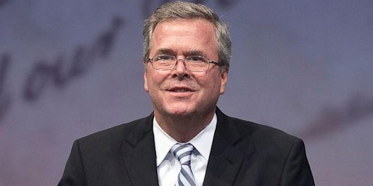 Jeb Bush